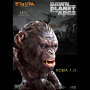 DF KOBA